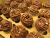 Double Chocolate Minis